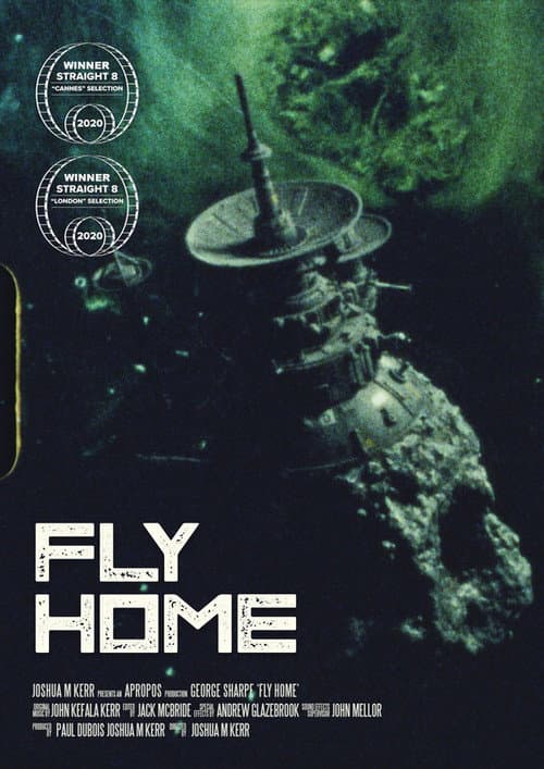 Poster for Fly Home