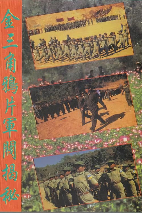 Poster for Warlords of the Golden Triangle