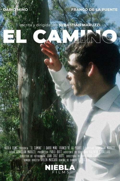 Poster for El camino