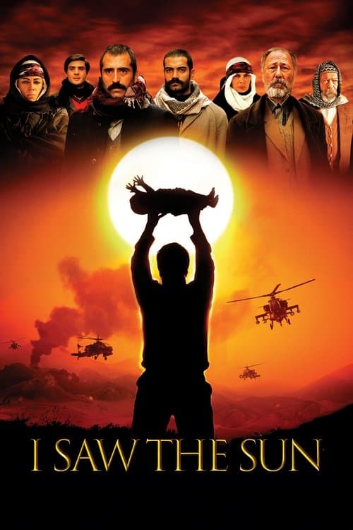 Poster for I Saw the Sun