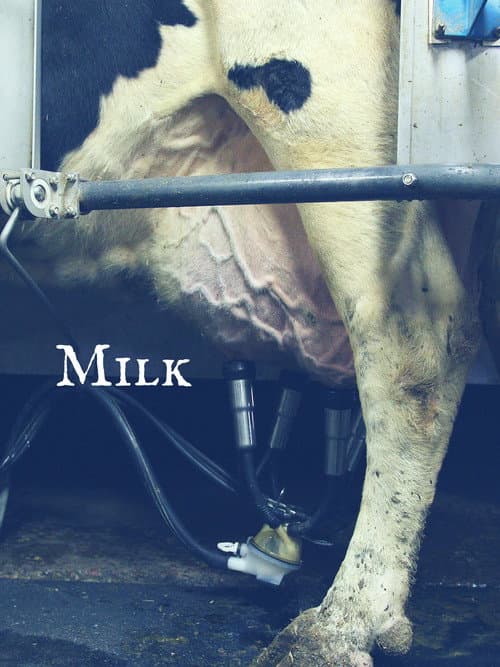 Poster for Milk