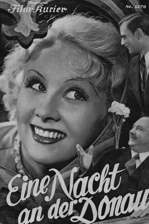 Poster for A Night on the Danube