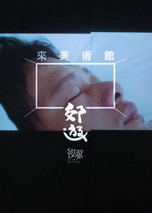 Poster for Stray Dogs at the Museum