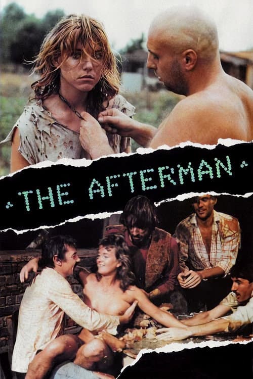 Poster for The Afterman