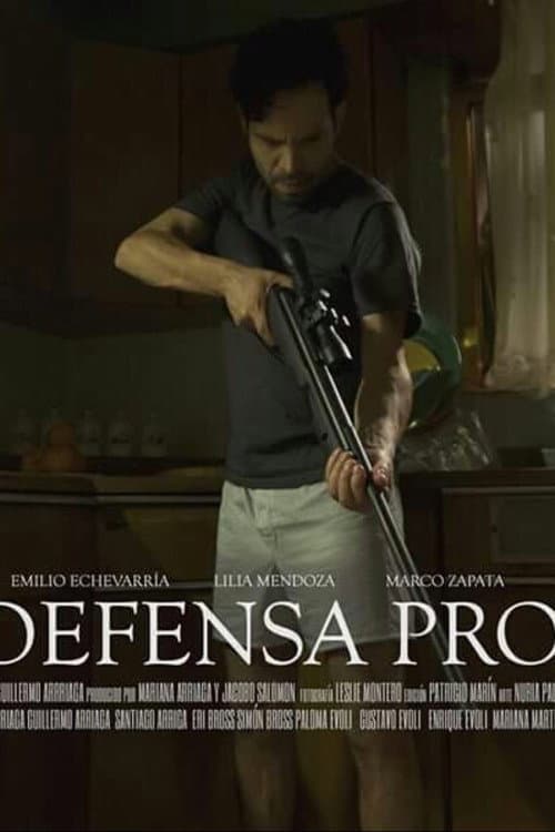 Poster for In Self Defense