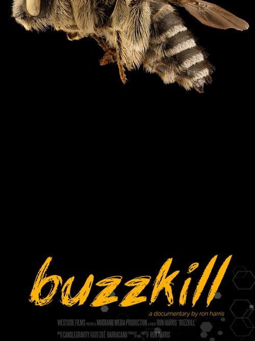 Poster for Buzzkill