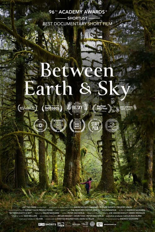 Poster for Between Earth & Sky