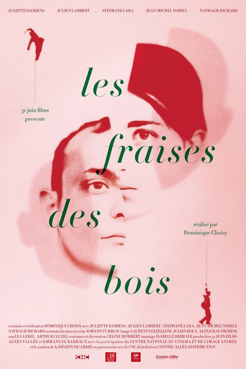 Poster for Wild Strawberries
