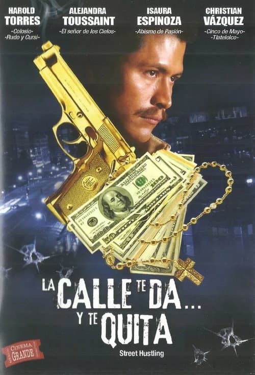 Poster for Street Hustling