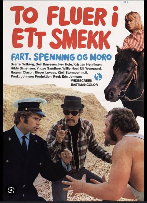 Poster for To fluer i ett smekk