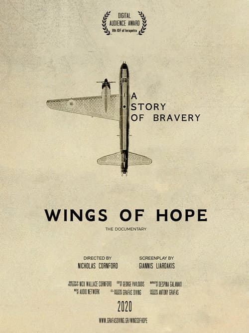 Poster for Wings of Hope - A story of Bravery