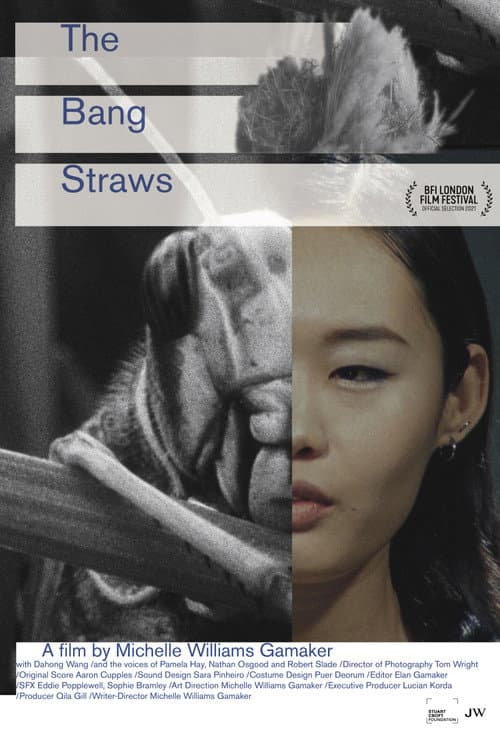 Poster for The Bang Straws