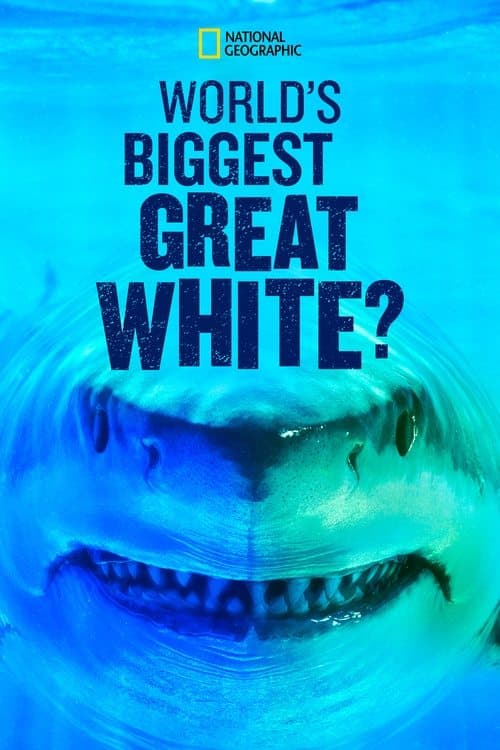 Poster for World's Biggest Great White?