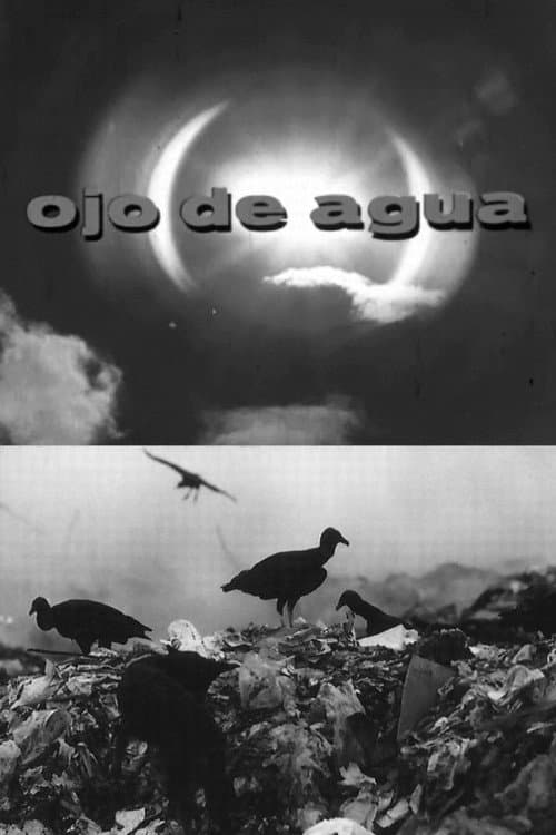 Poster for Ojo de Agua