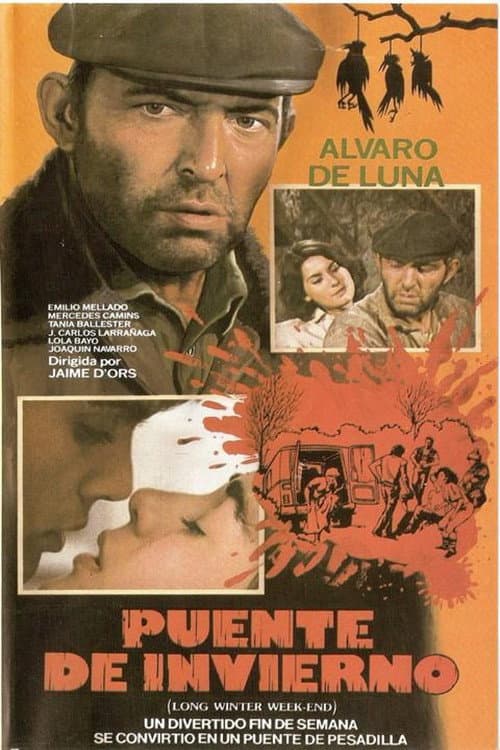 Poster for Puente de invierno