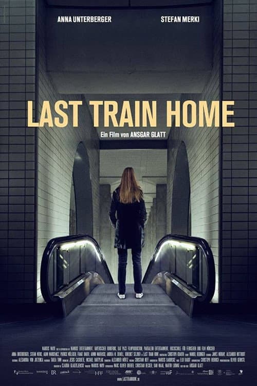 Poster for Last Train Home