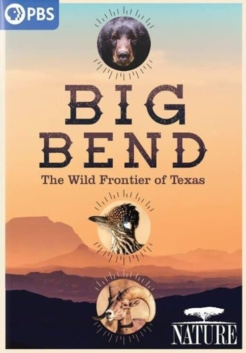 Poster for Big Bend: The Wild Frontier of Texas