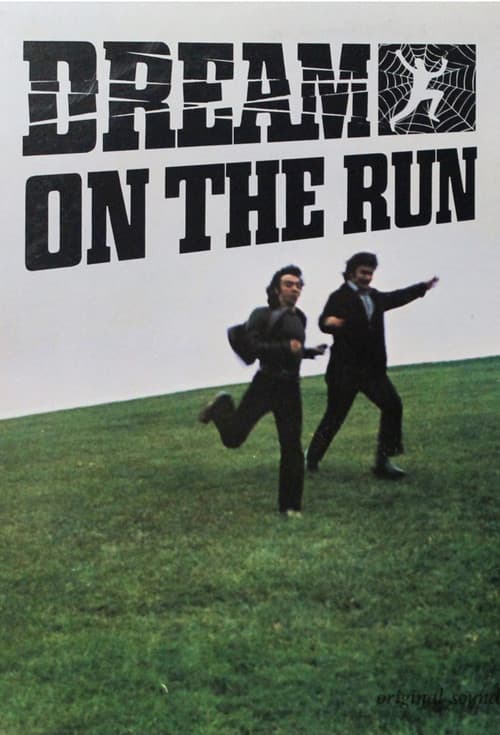 Poster for Dream on the Run
