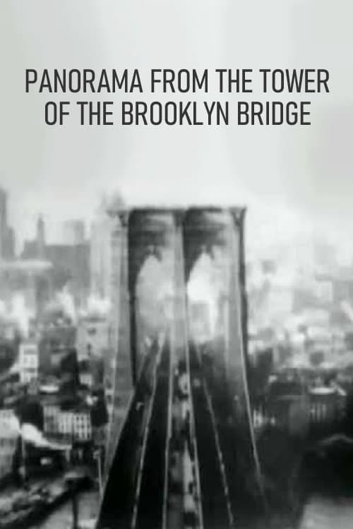 Poster for Panorama from the Tower of the Brooklyn Bridge