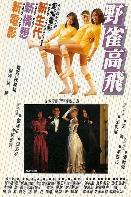 Poster for Fly Robin Fly