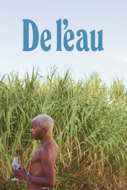 Poster for De l'eau