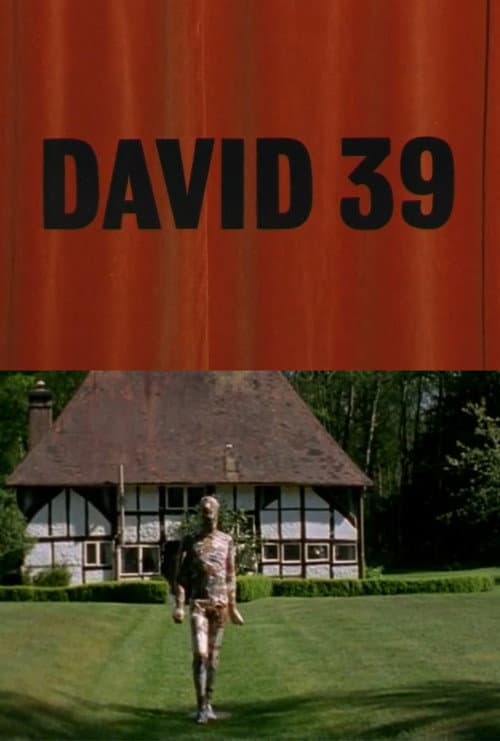 Poster for David 39