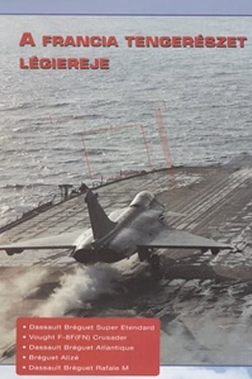 Poster for Combat in the Air - French Naval Air Power