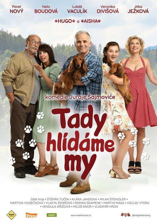 Poster for Tady hlídáme my