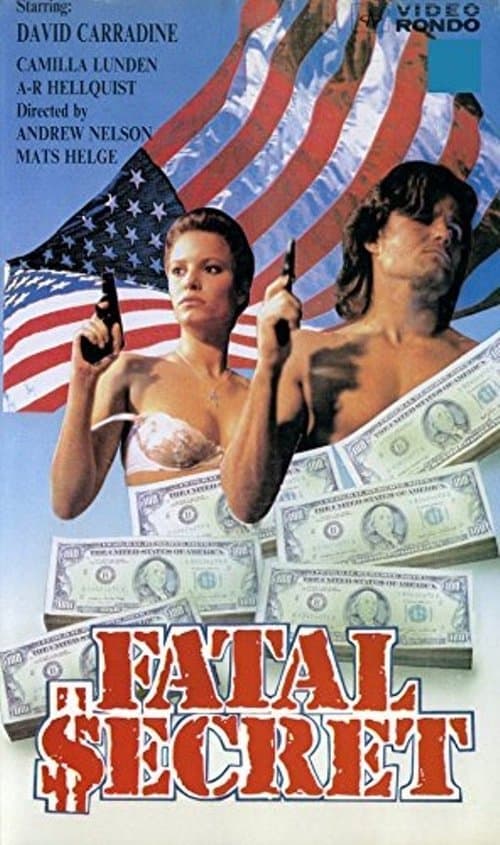 Poster for Fatal Secret
