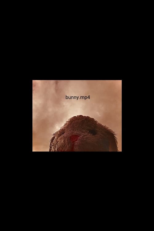 Poster for bunny.mp4