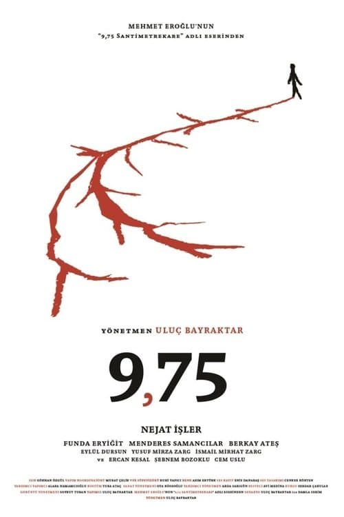 Poster for 9,75