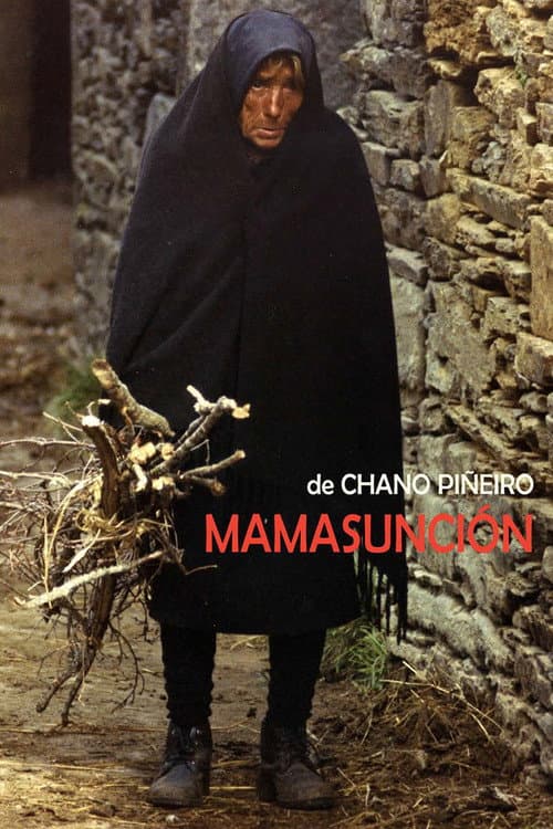 Poster for Mamasunción