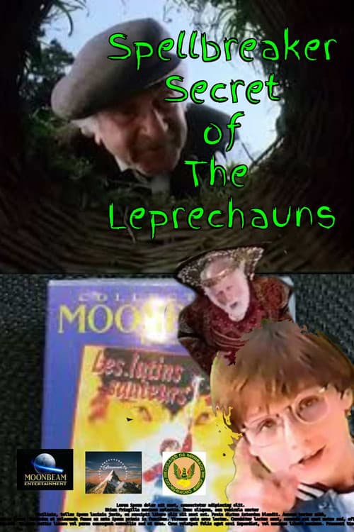 Poster for Spellbreaker: Secret of the Leprechauns