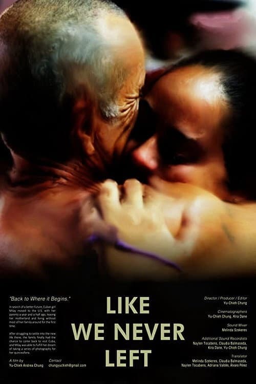 Poster for Like We Never Left