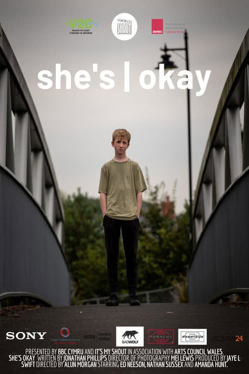 Poster for She's Okay