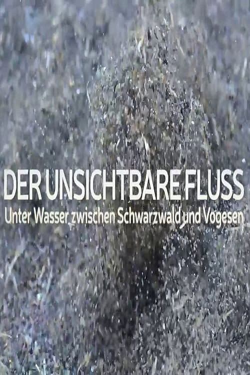 Poster for Un fleuve invisible