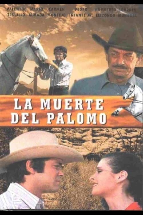 Poster for The Death of a Stallion