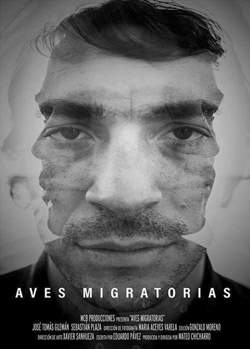 Постер до фільму «Migratory Birds»