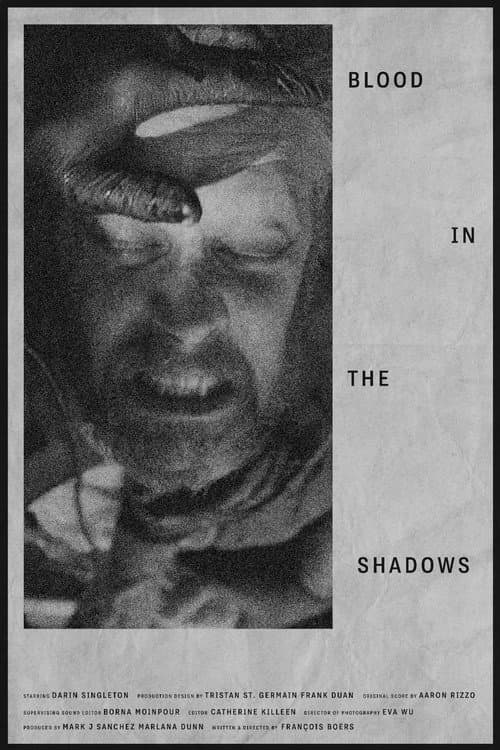 Poster for Blood in the Shadows
