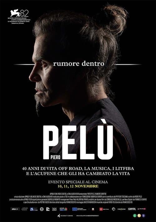 Poster for Piero Pelù - Rumore dentro