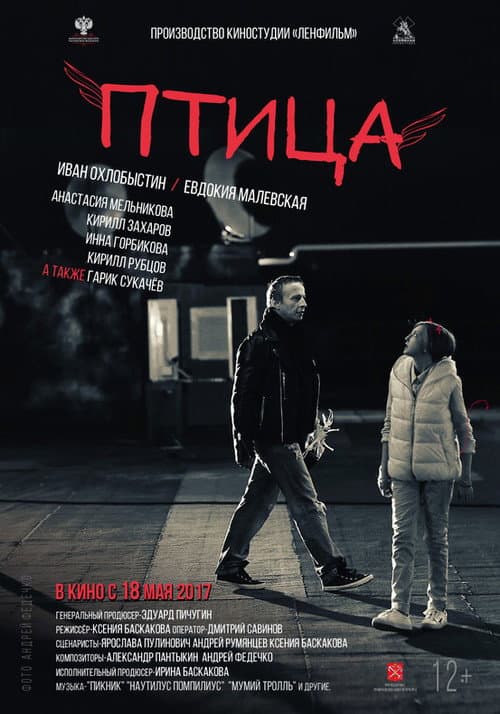 Poster for The Bird