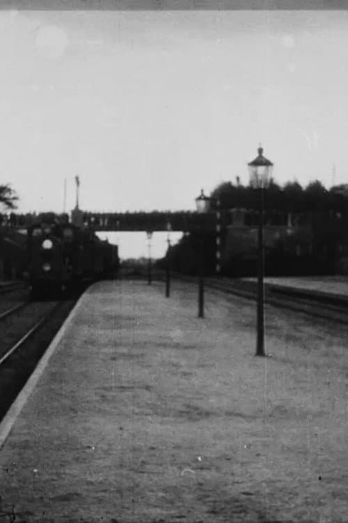Poster for Empress Dagmar Arrives By Train