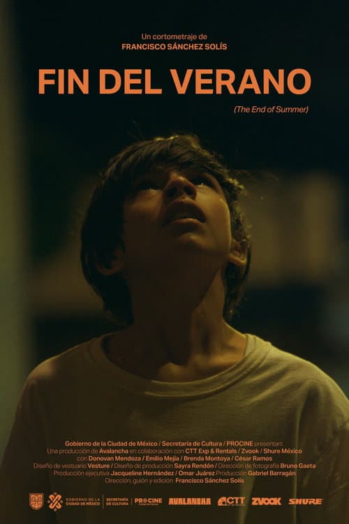 Poster for The End of Summer