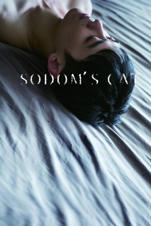 Poster for Sodom's Cat