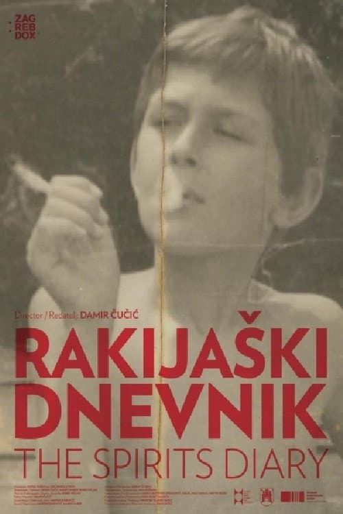 Poster for The Spirits Diary