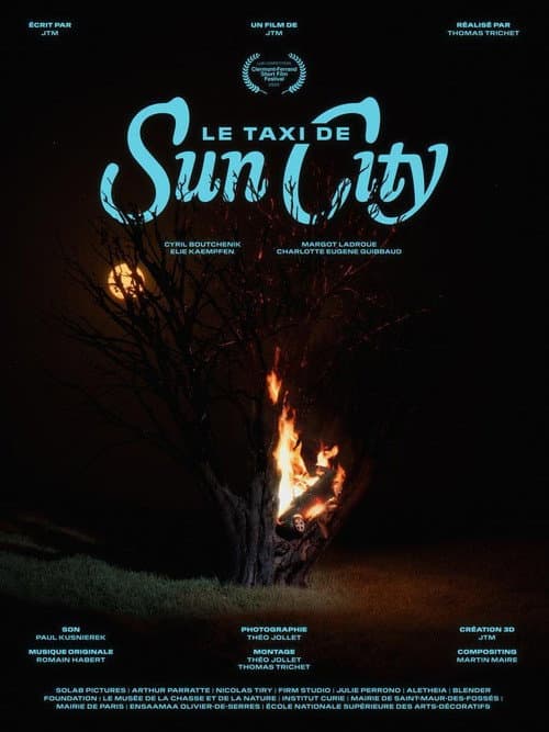 Poster for Le taxi de Sun City