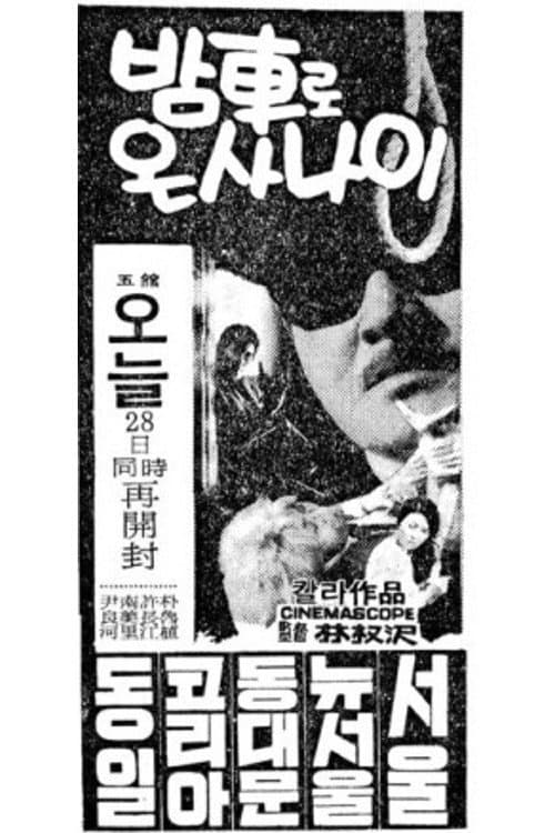 Poster for A Man Who Arrived by Night Train