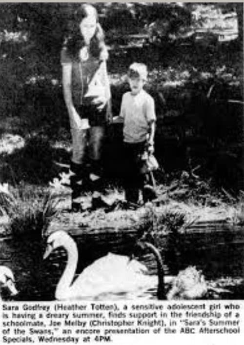 Постер до фільму «Sara's Summer Of The Swans»