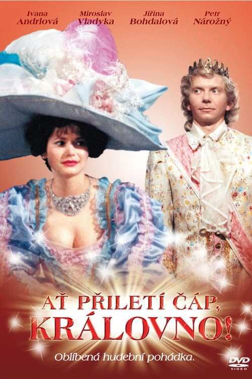 Poster for Ať přiletí čáp, královno!