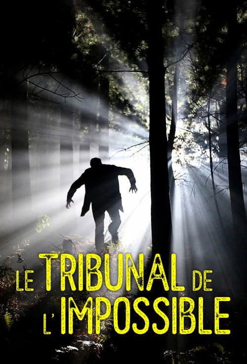 Poster for Le Tribunal de l'impossible